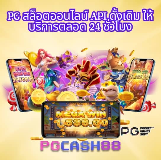 punpro66
